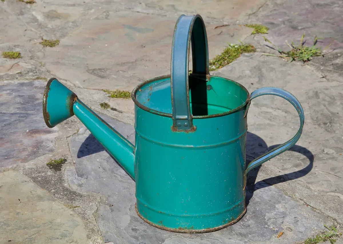 Regenwater in de tuin: waar het beter is dan kraanwater, en waar niet